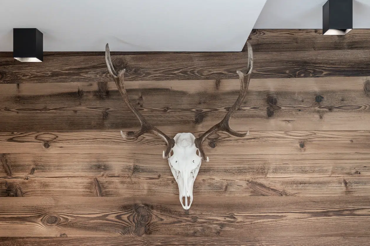 Hirschschädel mit Geweih an einer Holzwand in der Ferienwohnung Samnaun unter modernen Deckenleuchten.