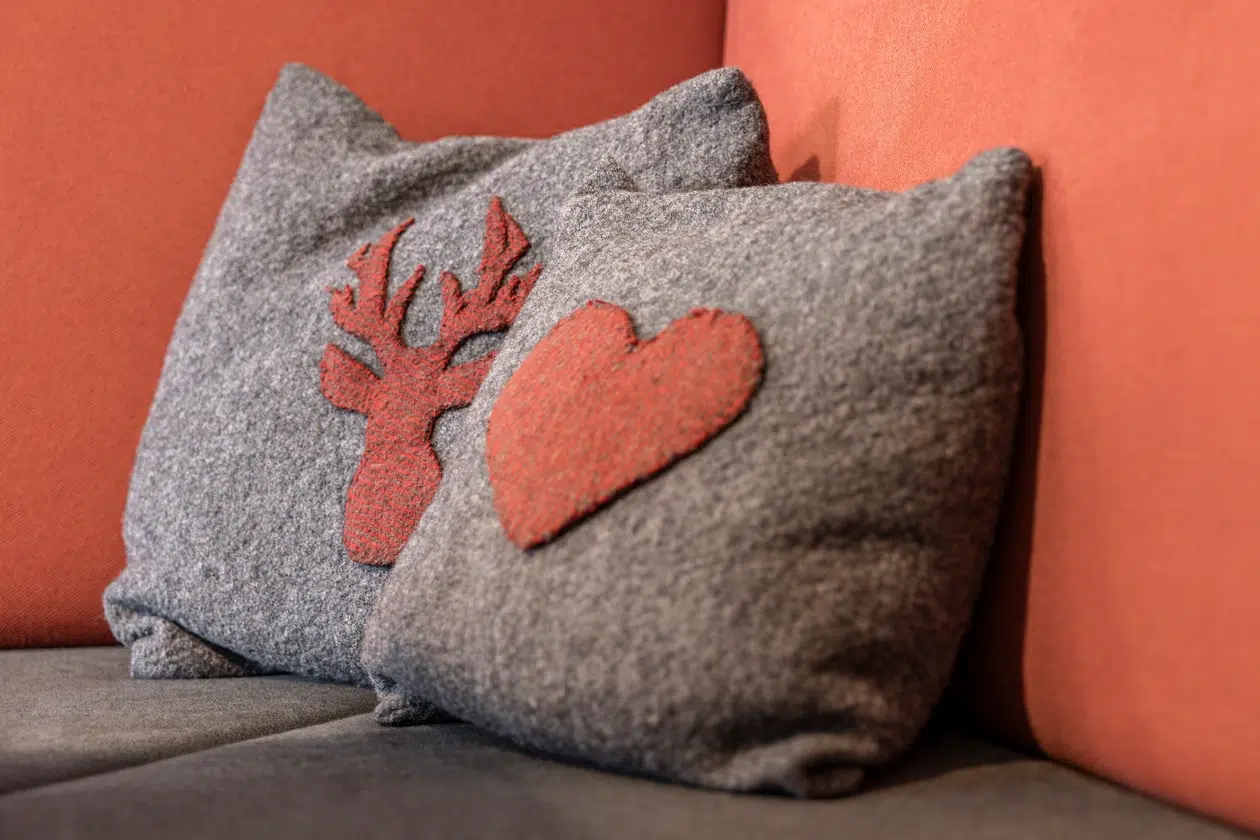 Zwei graue Kissen, eines mit einem roten Herz und eines mit einem Hirsch, verleihen der Ferienwohnung Samnaun Charme.