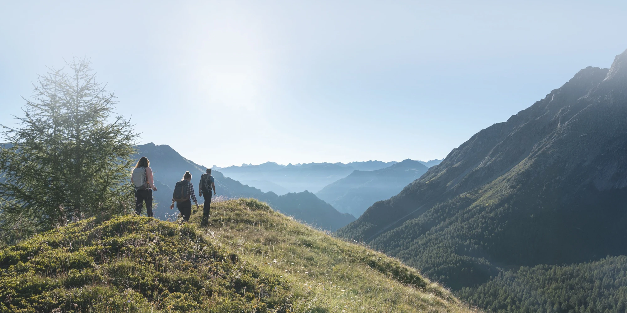 Drei Personen wandern in Samnaun auf einem grasbewachsenen Hügel, Berge und klarer Himmel im Hintergrund.