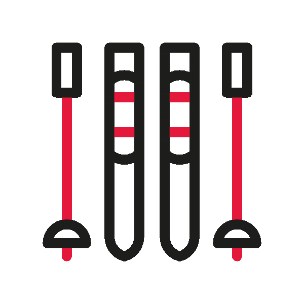 Icon von zwei Skiern und Skistöcken, perfekt für unterkunft samnaun, auf einem kastanienbraunen Hintergrund.